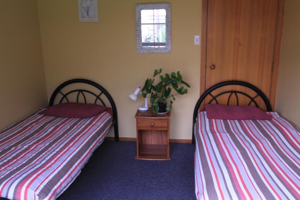 Bazil'S Backpackers Bbh Hostel & Surf School Westport Ruang foto