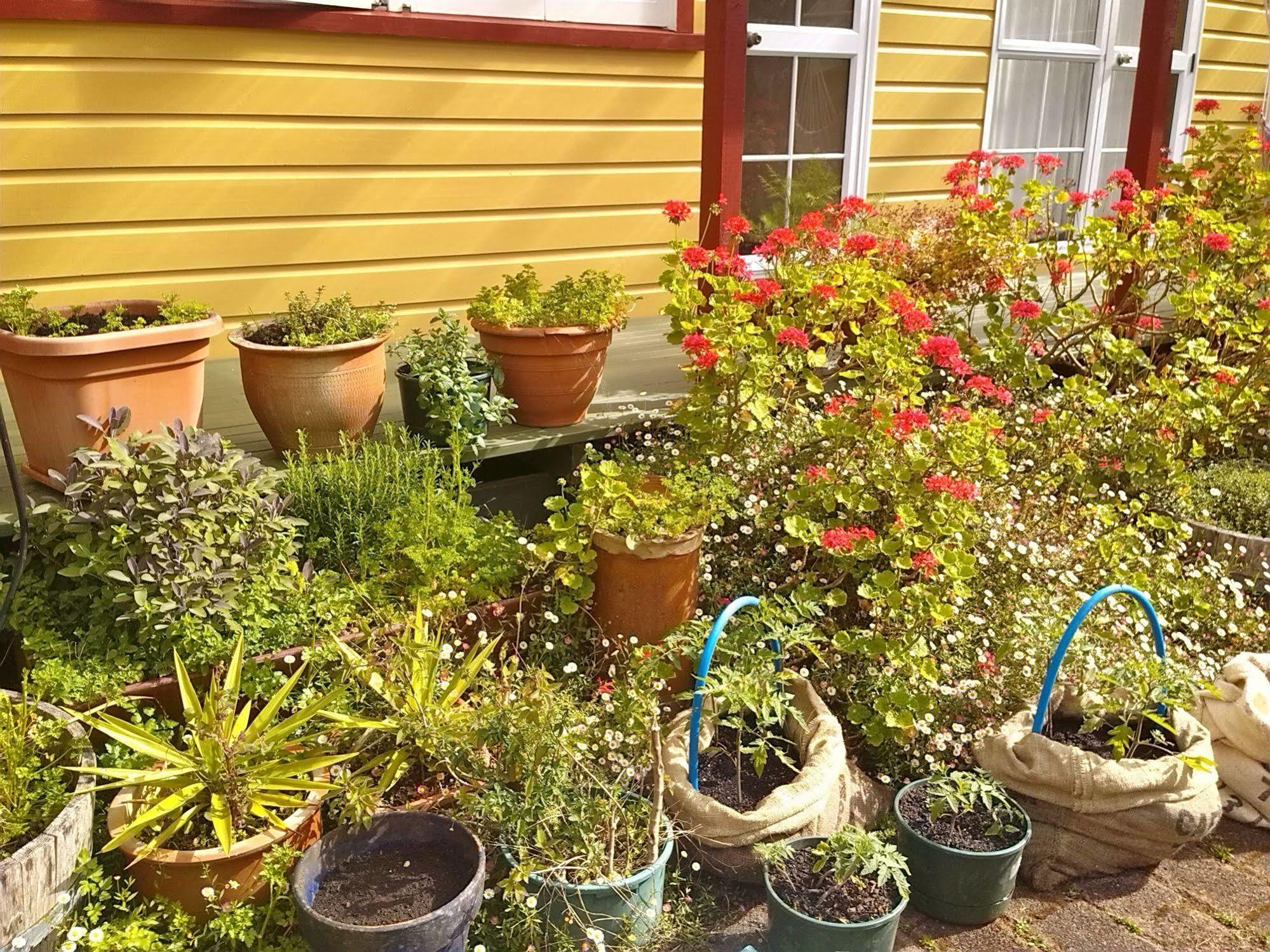 Bazil'S Backpackers Bbh Hostel & Surf School Westport Bagian luar foto